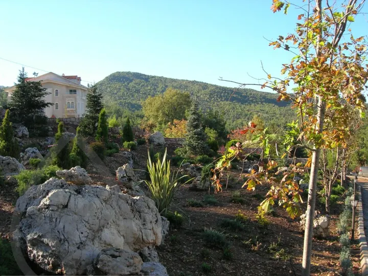 Gaze Landscape