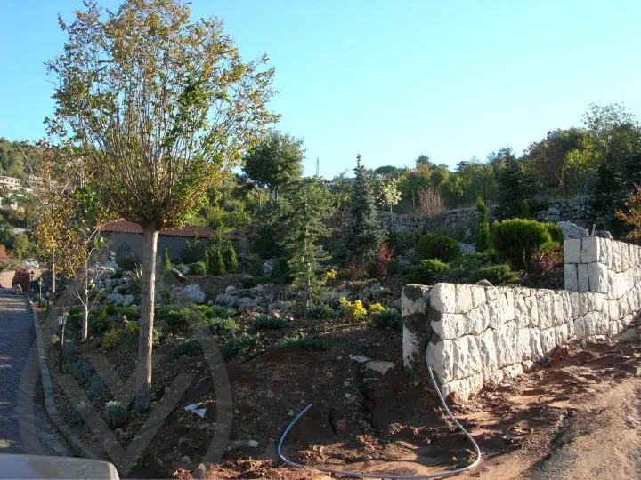 Gaze Landscape — image 3