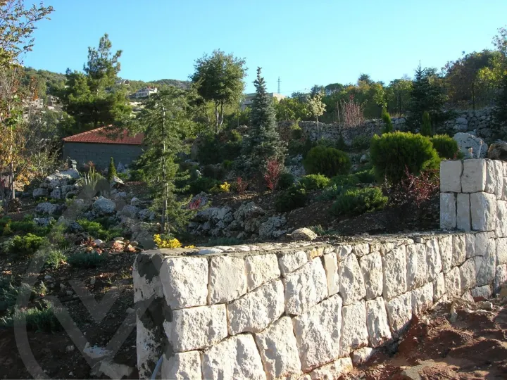 Gaze Landscape — image 4