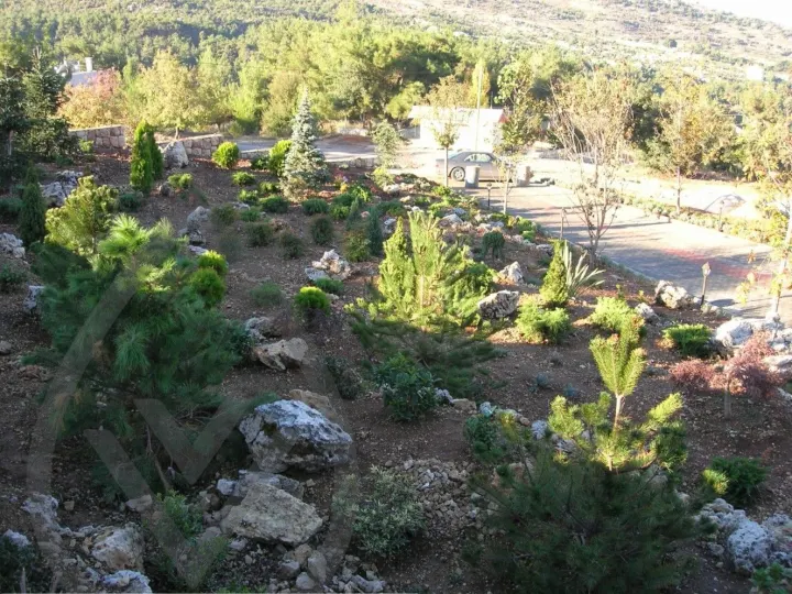 Gaze Landscape — image 7