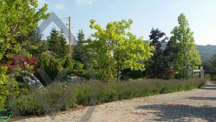 Jaj Landscape