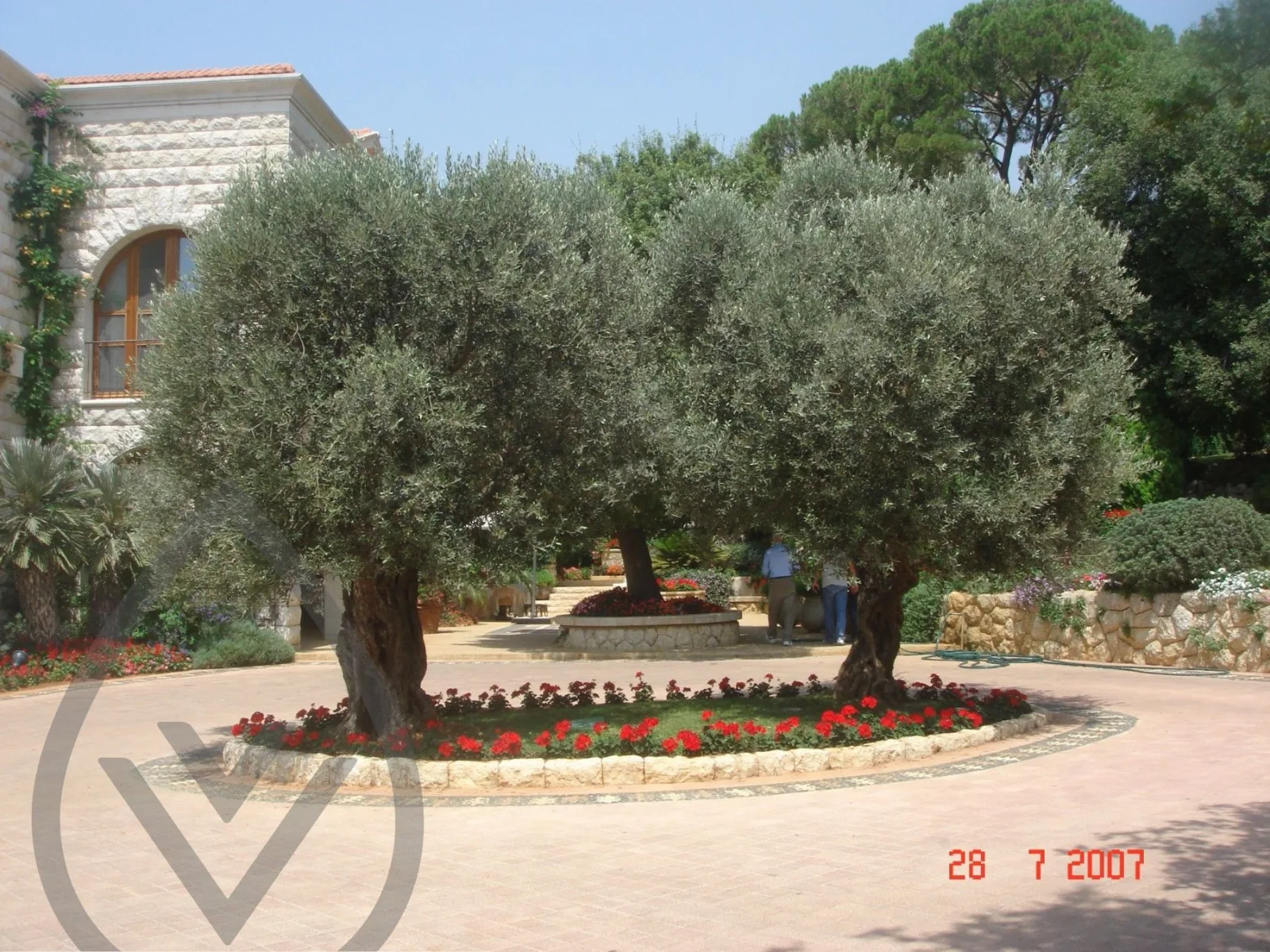 Vert Veine international landscape project supply