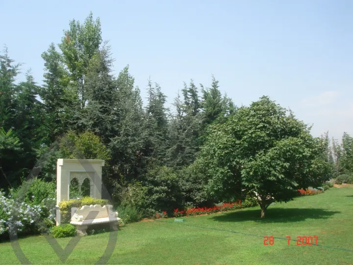 KSA Landscape Collection — image 16