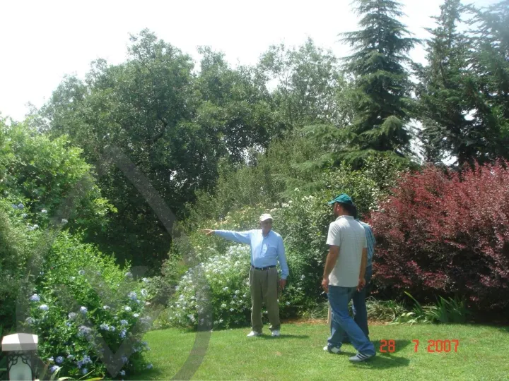 KSA Landscape Collection — image 17