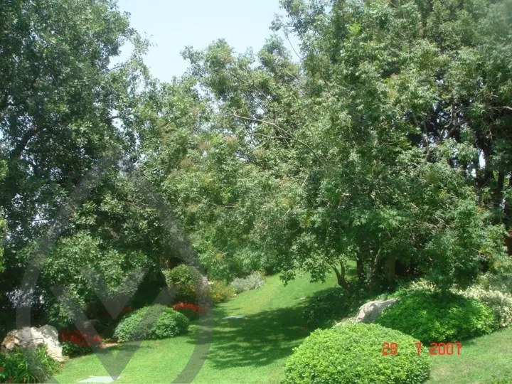KSA Landscape Collection — image 20