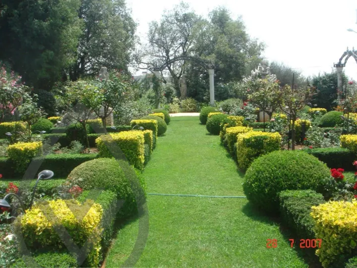 KSA Landscape Collection — image 24