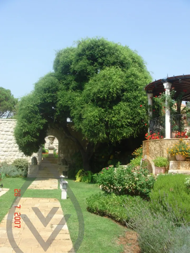 KSA Landscape Collection — image 35