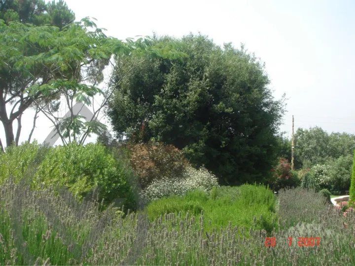 KSA Landscape Collection — image 36
