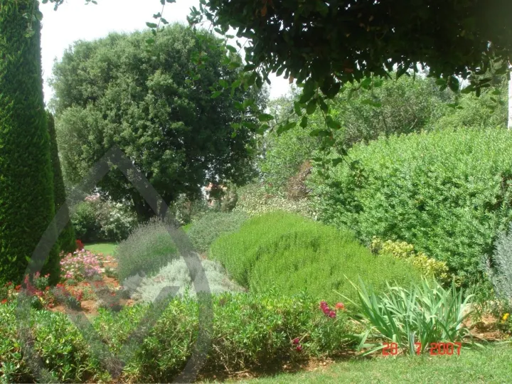 KSA Landscape Collection — image 42