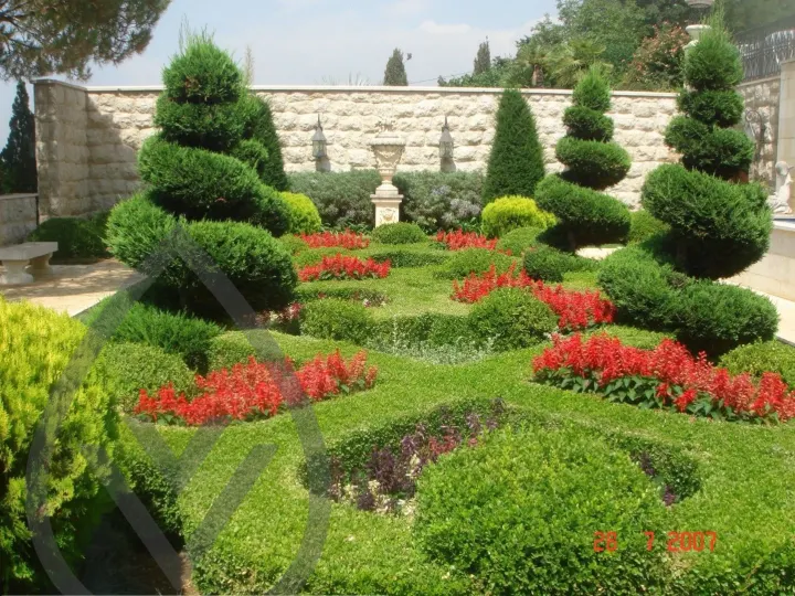 KSA Landscape Collection — image 43