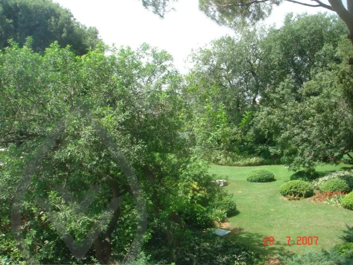 KSA Landscape Collection — image 45