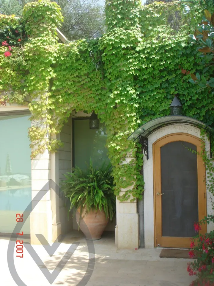 KSA Landscape Collection — image 53