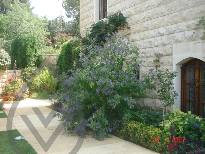 KSA Landscape Collection — image 55
