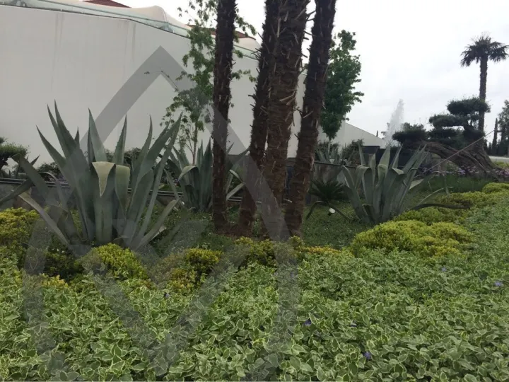 Landscape Portfolio — image 5