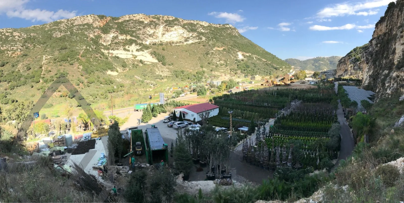 Global Plant Sourcing by Vert Veine