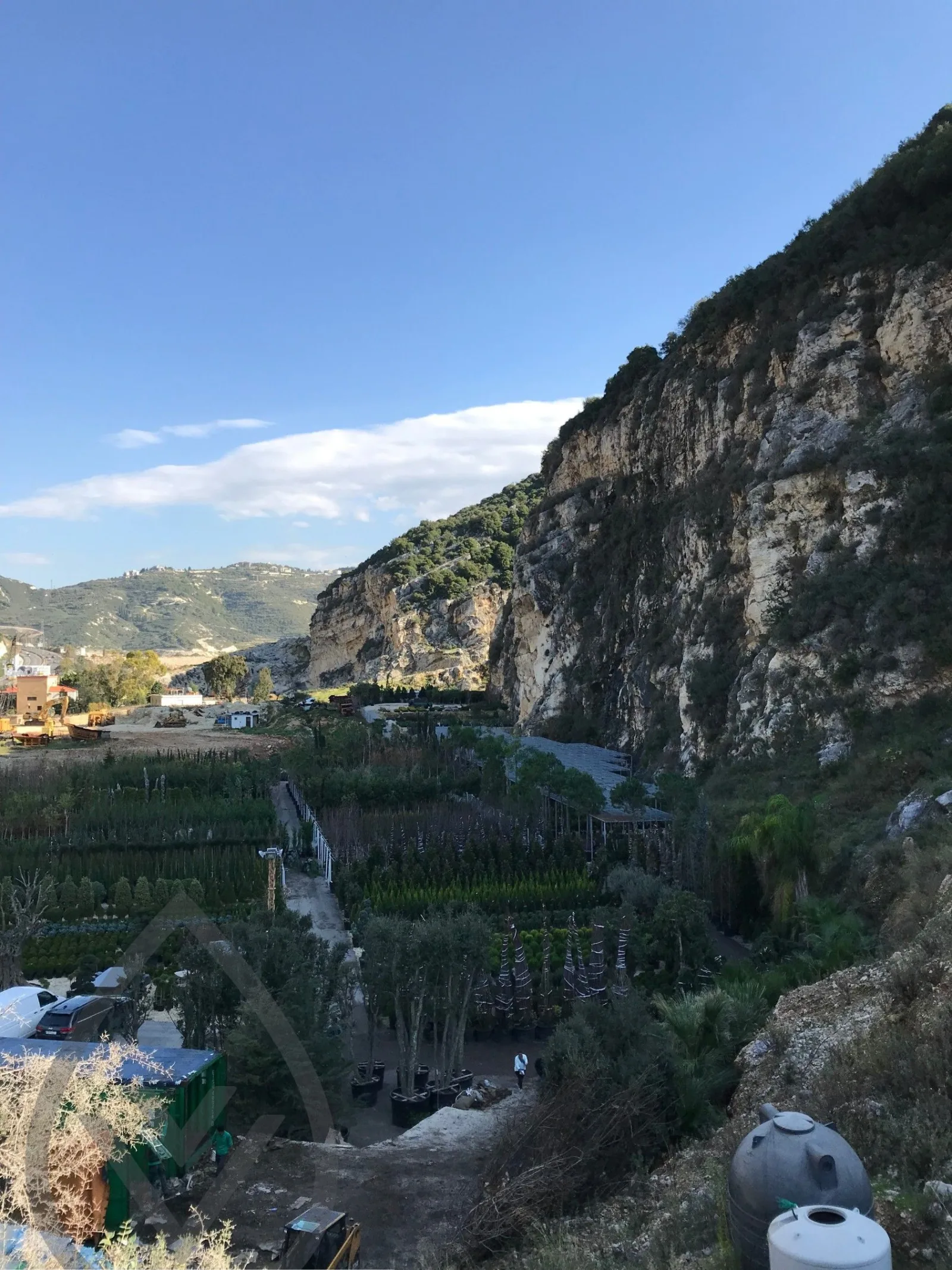 Vert Veine nursery overlooking the Batroun landscape