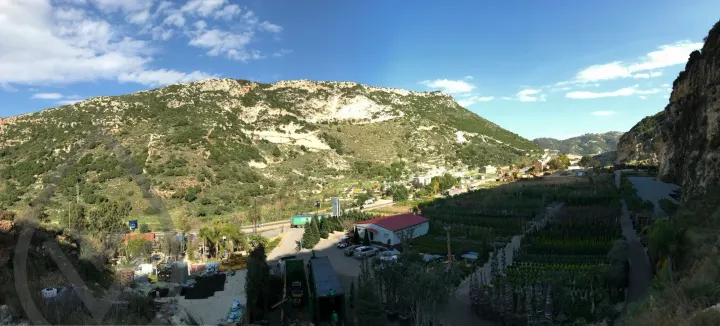 Batroun Nursery Collection — image 2