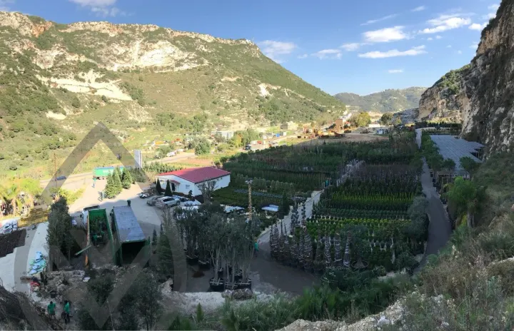 Batroun Nursery Collection — image 3