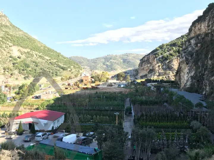 Batroun Nursery Collection — image 5