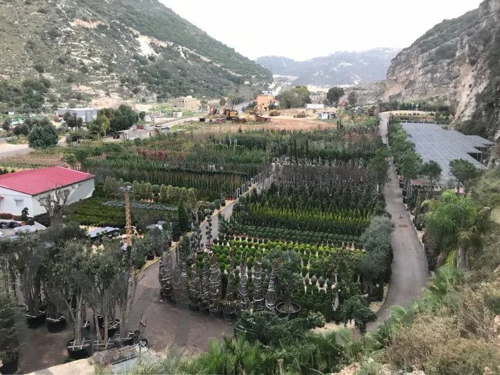 Batroun Nursery Collection — image 17