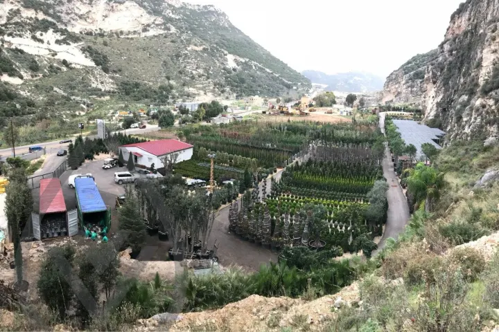 Batroun Nursery Collection — image 19
