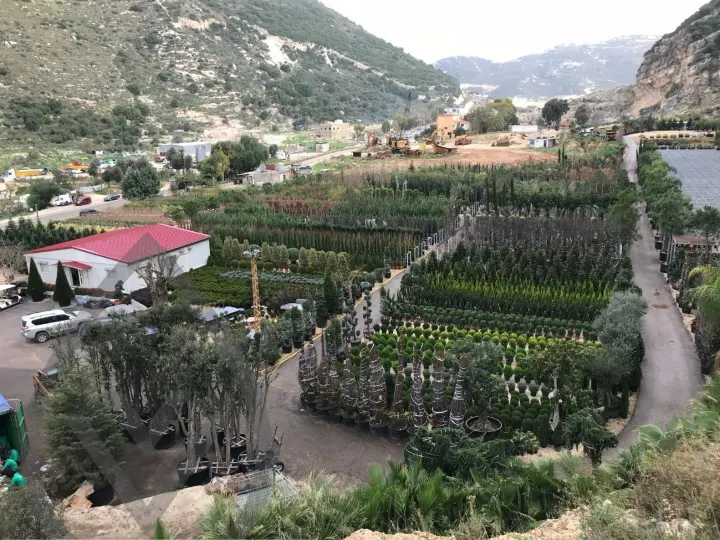 Batroun Nursery Collection — image 21