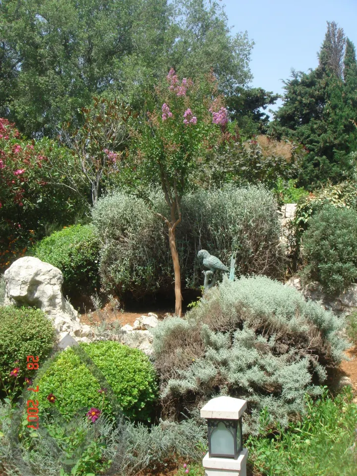 Selected Landscape Works — image 4