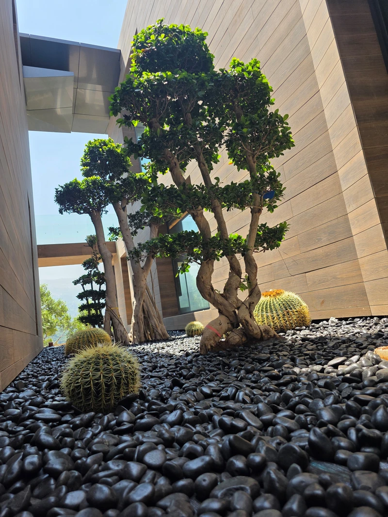 Vert Veine decorative aggregates display