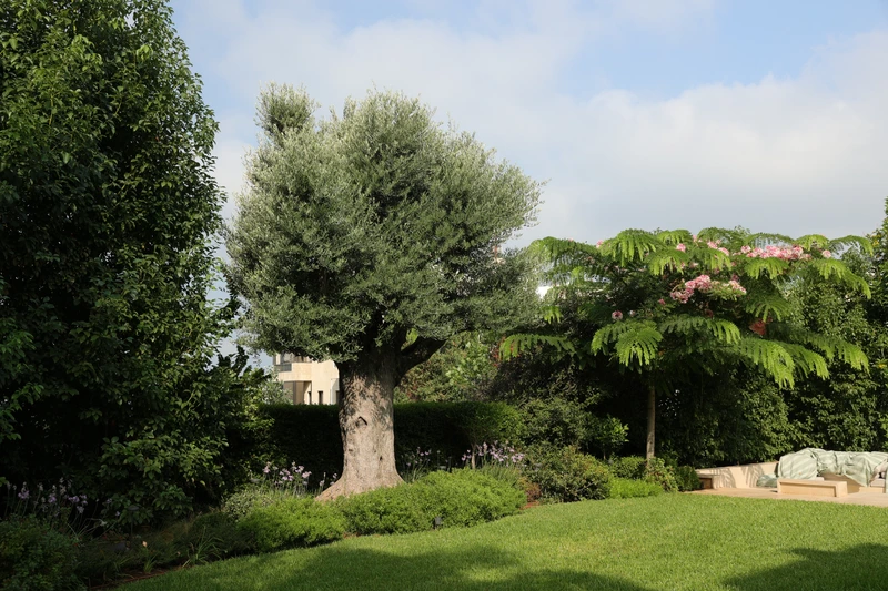 Completed landscape planting around a residence